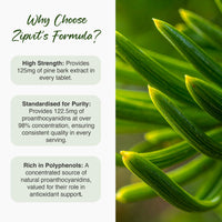Zipvit Pine Bark Extract 125mg, High Strength Supplement, 95% Proanthocyanides, 60 Vegan Tablets, 2 Months Supply