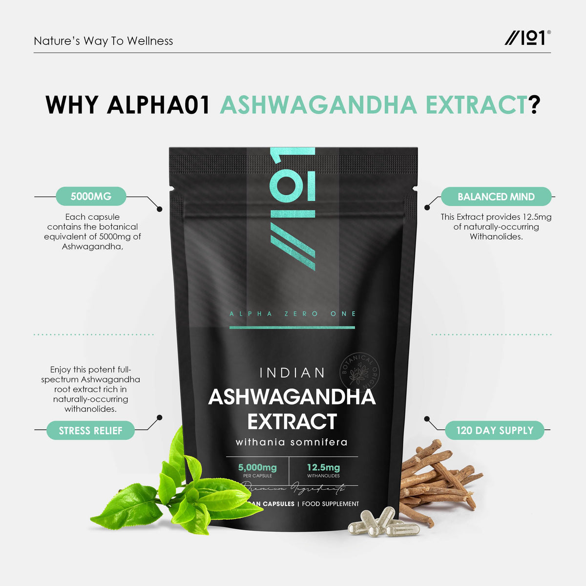 ALPHA01 Ashwagandha Extract 5000mg - 5% Withanolides (12.5mg) - 120 Vegan Capsules - Made with BioPerine® Black Pepper for Higher Bioavailability (4 Month Supply) by Alpha01