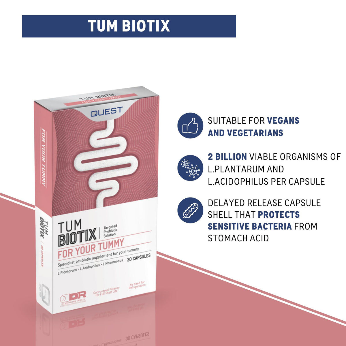 Quest Tum Biotix Gut Health Probiotics Supplements & Balance Gut Flora. 2 Billion CFU Helps Restore Gut Friendly Bacteria. Vegan Multi Strain Probiotic Digestive Supplement (30 Capsules)