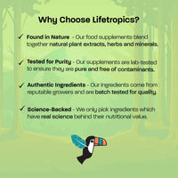 Lifetropics Pure Broccoli - 500mg Broccoli Extract (10% Sulforaphane) - Broccoli Supplement - 60 Vegetable Capsules