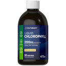 Horbäach Liquid Chlorophyll Drops for Water | 3100mg Per Bottle | 473ml | Vegan Supplement | Mint Flavour | by Horbaach