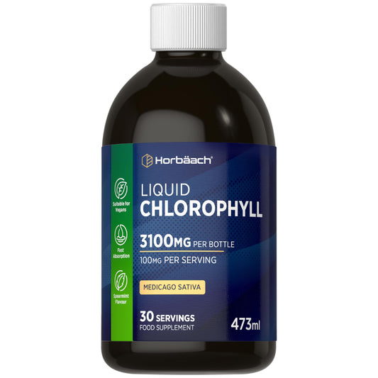 Horbäach Liquid Chlorophyll Drops for Water | 3100mg Per Bottle | 473ml | Vegan Supplement | Mint Flavour | by Horbaach