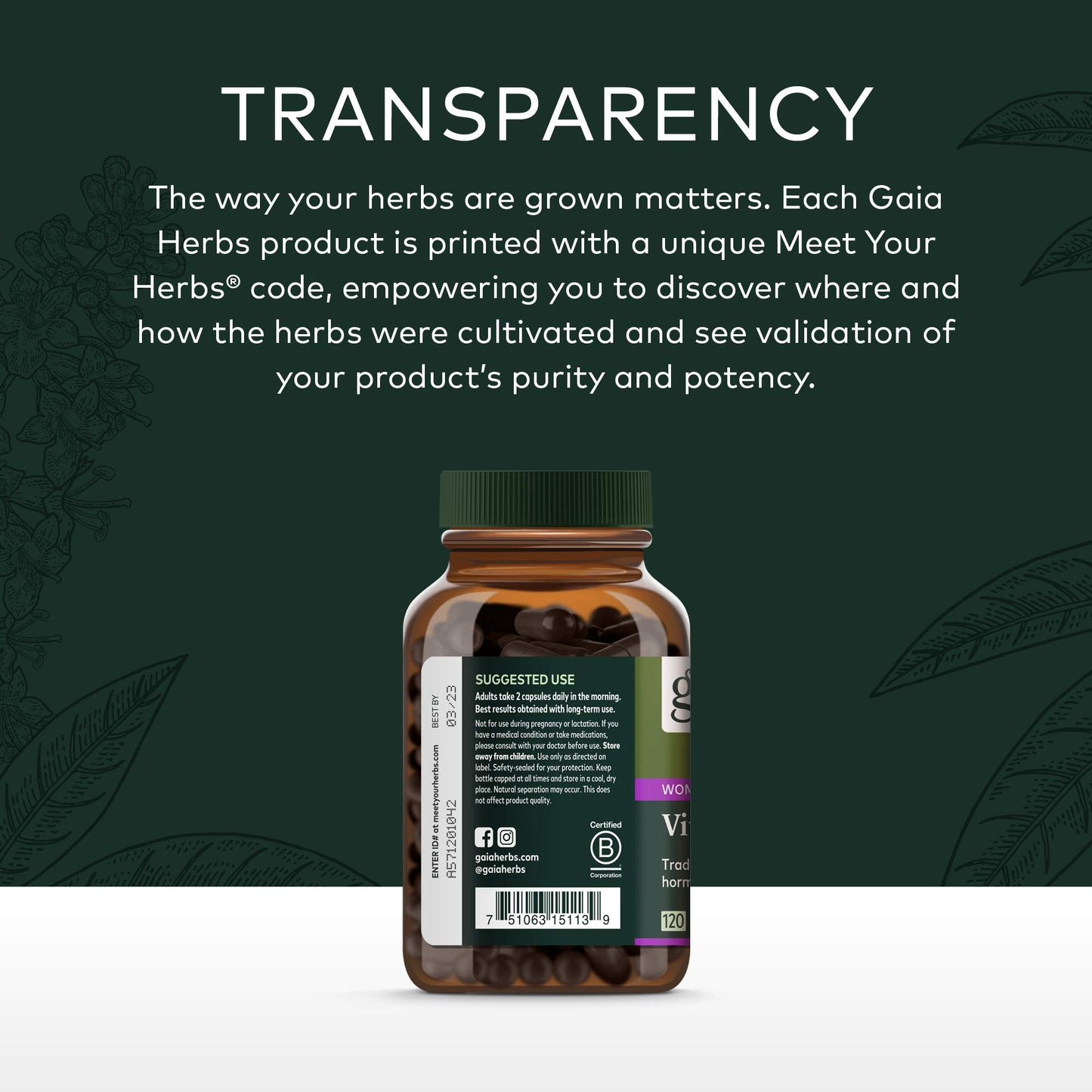 Gaia Herbs Vitex Berry (Chaste Tree) - Supports Hormone Balance & Fertility for Women - Helps Maintain Healthy Progesterone Levels to Support Menstrual Cycle Health - 180 Vegan Caps (90-Day Supply)