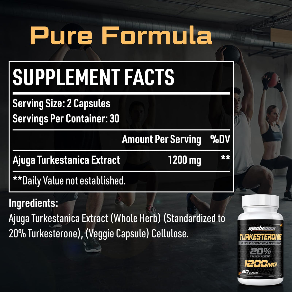 Mechicoco Turkesterone Supplement 1200mg Ajuga Turkestanica Extract (2 Packages)- High Strength, Standardized to 20% Turkesterone, Muscle Growth & Strength - Vegan, Free from Soy, Additives