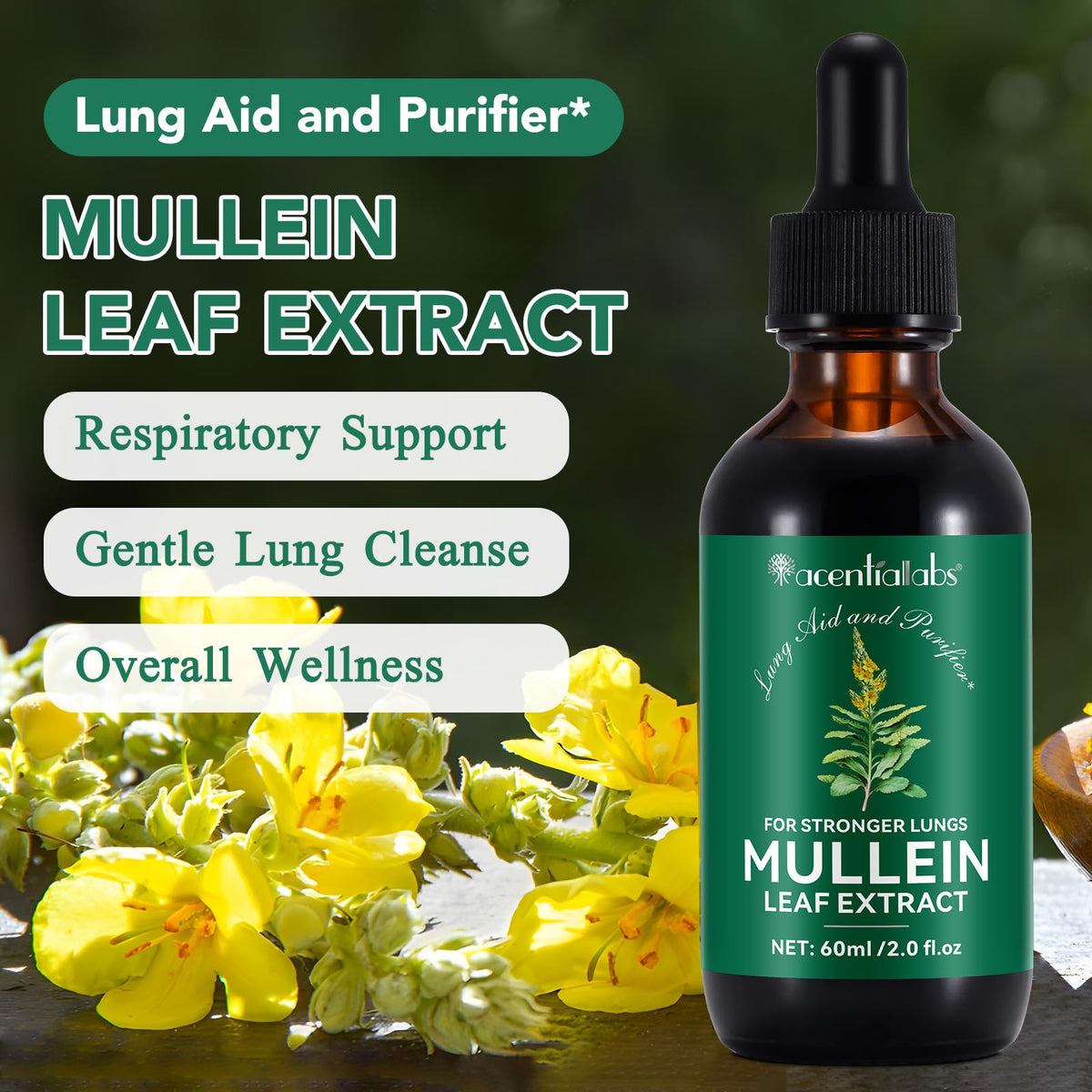 IWKDIJ Mullein Leaf Extract for Lung,Mullein Leaf Drops,Mullein Leaf Extract with Chlorophyll-Natural Supplement Liquid for Lung Cleanse and Respiratory Support- Vegetarian-60ml