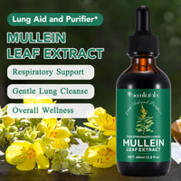 IWKDIJ Mullein Leaf Extract for Lung,Mullein Leaf Drops,Mullein Leaf Extract with Chlorophyll-Natural Supplement Liquid for Lung Cleanse and Respiratory Support- Vegetarian-60ml