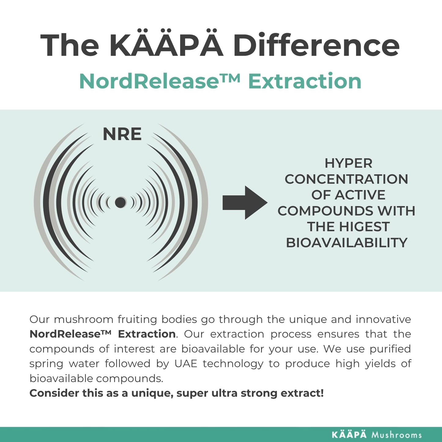 KAAPA Mushrooms KAAPA MUSHROOMS - Lion's Mane Mushroom Extract Tincture - Potent Ultrasonic Extraction | High Potency Lions Mane Supplement for Cognitive Function, Brain & Memory | Grown in Finland - 50ml