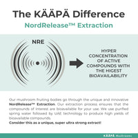 KAAPA Mushrooms KAAPA MUSHROOMS - Lion's Mane Mushroom Extract Tincture - Potent Ultrasonic Extraction | High Potency Lions Mane Supplement for Cognitive Function, Brain & Memory | Grown in Finland - 50ml