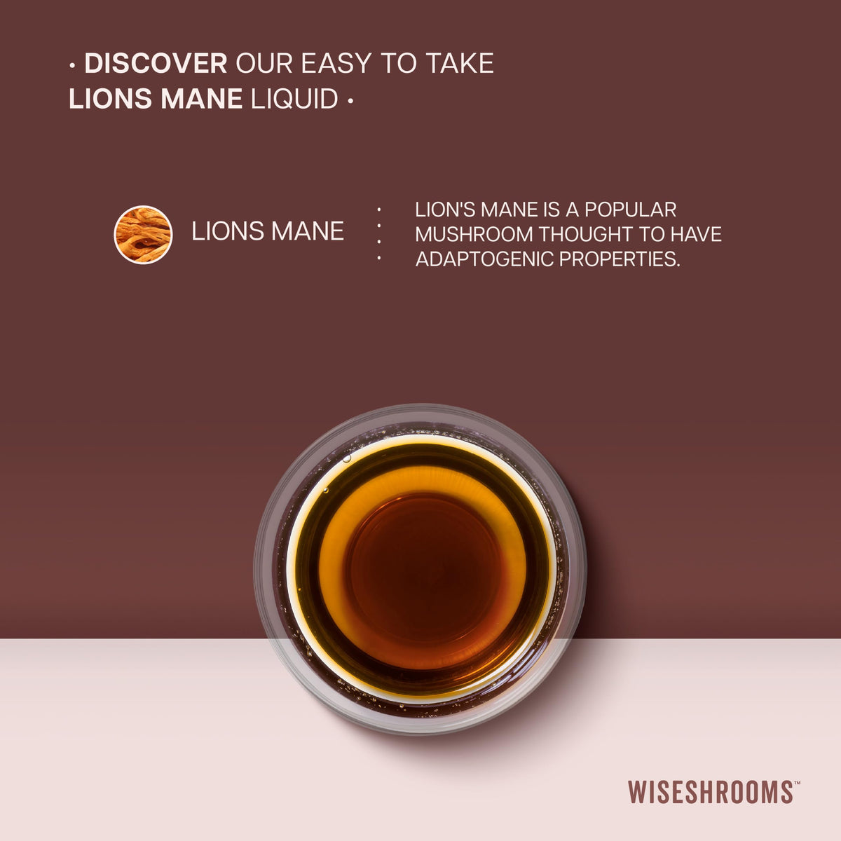 Lions Mane Supplement Liquid Drops 30,000mg | High Strength Lions Mane | from Fruiting Body | 60ml Bottle - Vegan | Wiseshrooms