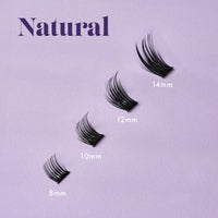 Nouveau Lashes Pre-Glued Express Cluster Lashes - Reusable & Customisable Lash Clusters - 8, 10, 12, 14mm Length - 44/48 Clusters Per Pack (Natural 01)