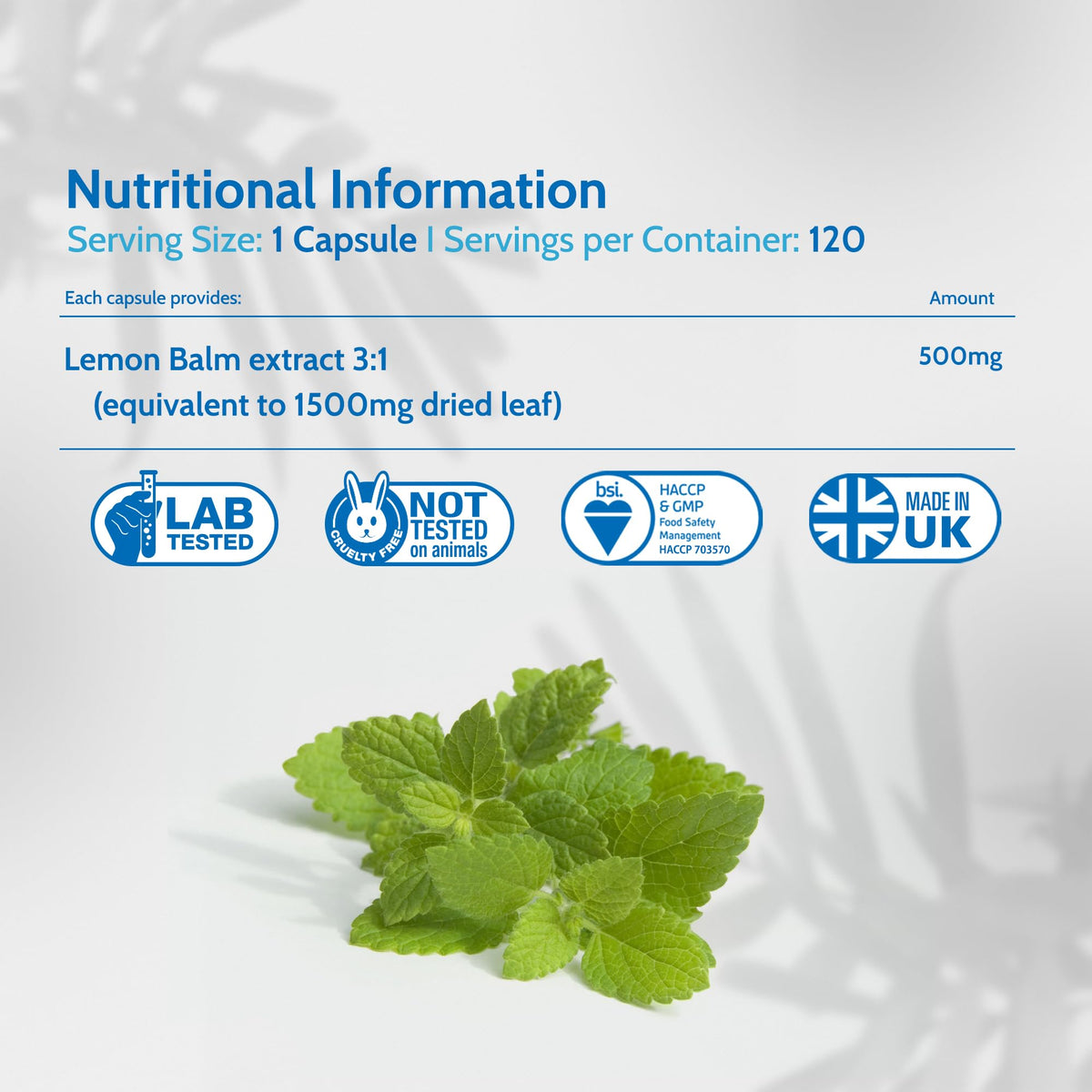 Health4All Lemon Balm Extract 1500mg per Capsule, 120 Capsules 4 Months Supply, High Strength Vegan Melissa for Anxiety, Sleep Support Supplement, Purest: no additives | Made in UK
