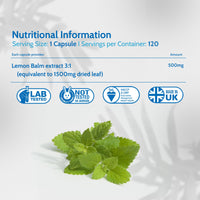 Health4All Lemon Balm Extract 1500mg per Capsule, 120 Capsules 4 Months Supply, High Strength Vegan Melissa for Anxiety, Sleep Support Supplement, Purest: no additives | Made in UK