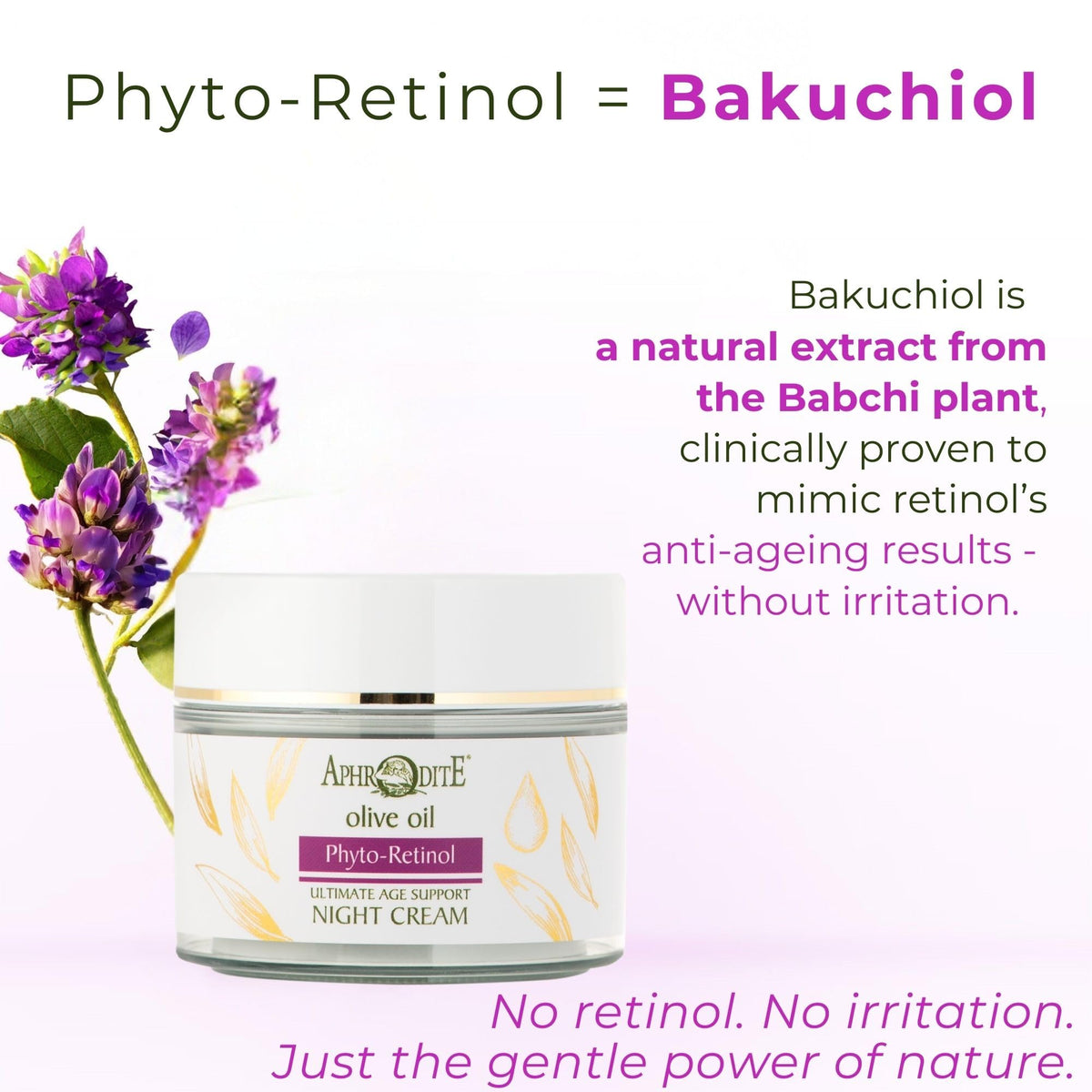 APHRODITE Aphrodite Nourishing & Firming Night Cream - Hydrating and Firming Night Cream with Hyaluronic Acid & Argan Oil (50 ml / 1.70 fl oz)