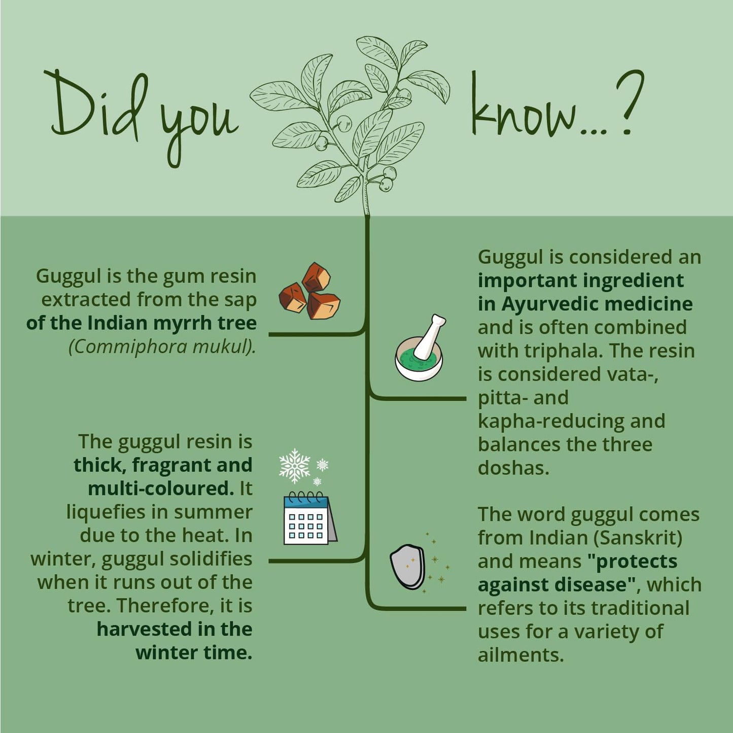 Vegavero Guggul Capsules 7500 mg | from 15:1 Extract | Dried Resin | NO Additives | Lab-Tested | 120 Capsules | Vegan