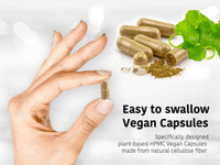 DR WAKDE's DR WAKDE'S Musta Capsules (Cyperus rotundus), 60 Veg Caps, Plant-Based Supplement, Made in UK, Vegan, All Natural, Same Day Dispatch