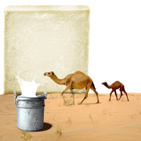 Cielche Handmade Camel Milk Soap Bar 150 gr Vitamins A - B - C - D - E, Minerals, Antioxidants,Hydrate, Fine Lines, Wrinkles, Age Spots