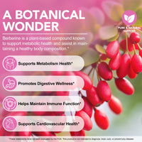 Premium Berberine Patch | 30 Patches | Natural Plant-Based Formula | Supports Metabolism & Energy Levels | Easy-to-Use, Discreet Patch