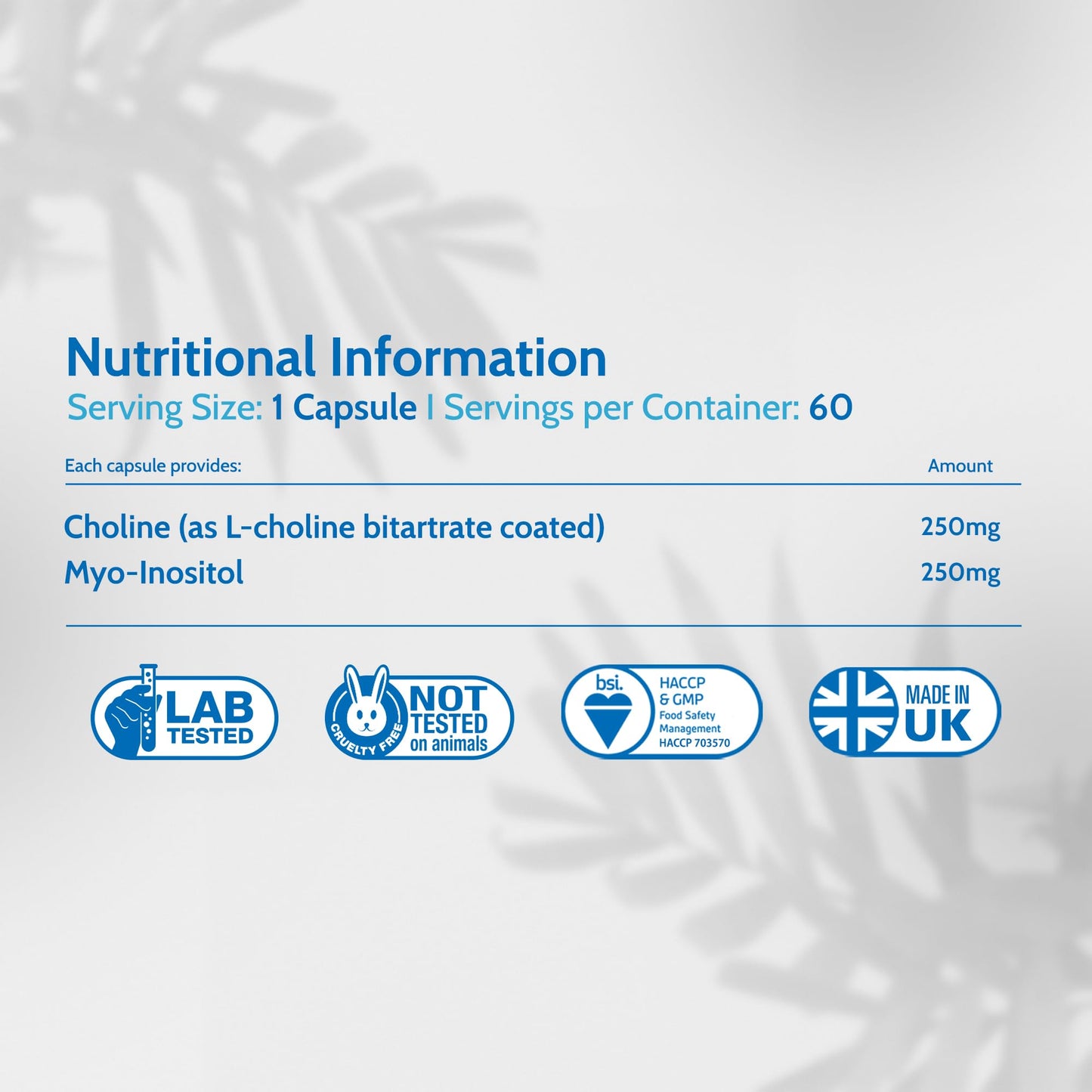 Choline & Inositol 500mg 60 Capsules, 250mg Myo Inositol Vegan Supplement for Brain Health, Mood, Memory, Liver Function & Metabolism - Made in UK by Health4All