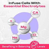 DETOXY BEAR LTD Hydromax Electrolytes Gummies – 60-Count Electrolyte and 1500mcg B12 Vitamin Gummies – Soft Chewable Gummies for Energy Support, Hydration Boost, Muscle Recovery