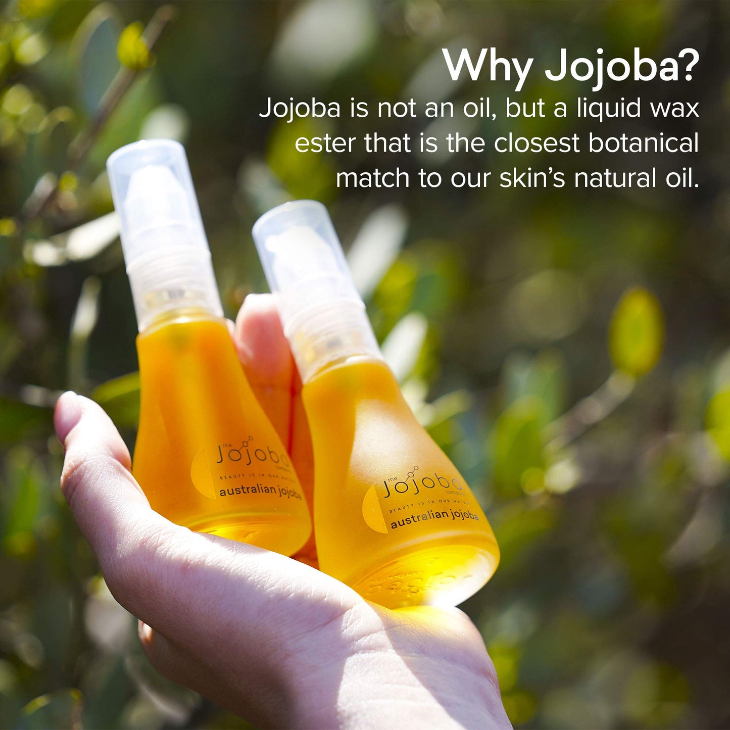 The Jojoba Company Pure Australian Jojoba Oil, Cold Pressed Australian Jojoba with Vitamin A, D, and E, Deeply Moisturising Face Oil, Jojoba Oil for Hair and Body, Gentle For All Skin Types 85ml