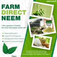Neemveda Neem Leaf Powder 100 Grams (Azadirachta Indica) for Eating, Naturally Grown, Premium Quality Neem Powder