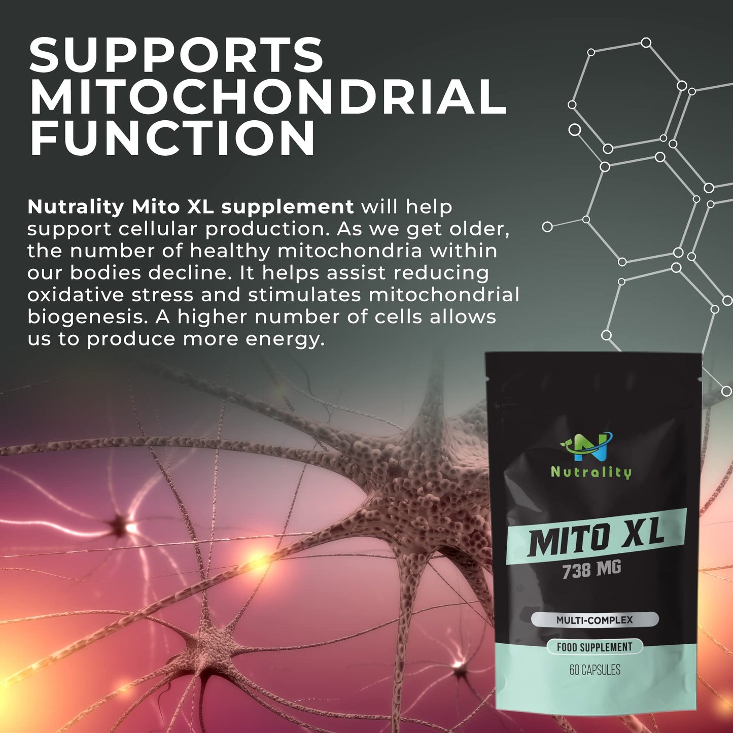 Nutrality Mito XL Supplement, 738mg | Mitochondrial Energy Optimizer, Healthy Mitochondria, Cellular Energy, Cognitive Support, Brain Health | 1 Month Supply, 60 Vegan-Friendly Capsules