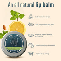 The Ilex Wood - Vegan Lemon Balm and Peppermint Lip Balm - All natural, coldsore prevention, palm oil free, cruelty free, plastic free, moisturising lip balm, handcrafted in the UK - 10ml