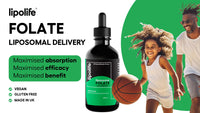 Lipolife Liposomal Liquid folate (as 5-MTHF, The Active Form of folic Acid.) Advanced Nutrient delivery System, Made in The UK by lipolife. 60ml = 60 Servings. 500mcg of folate per 1ml. LLF1