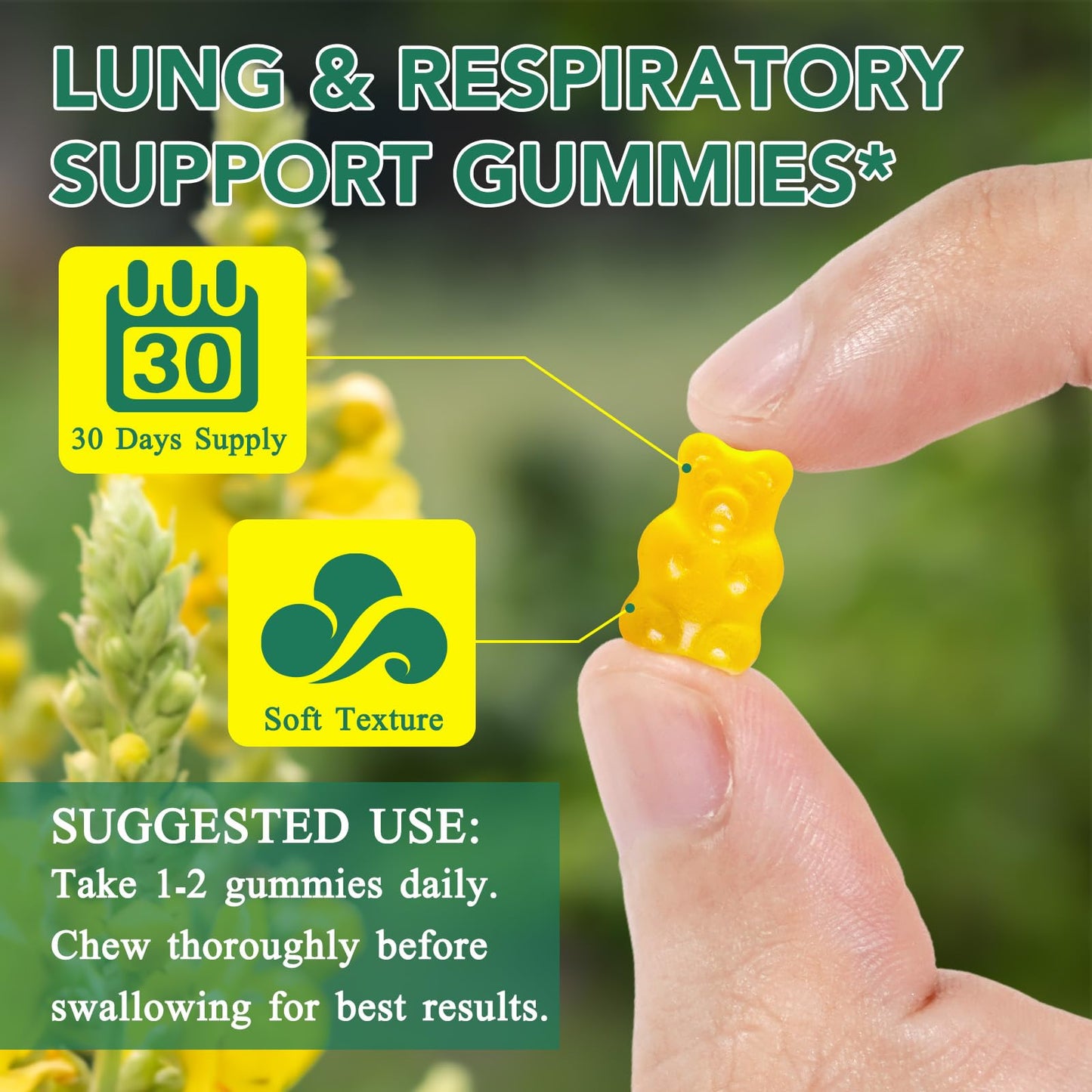 XAYGHE Mullein Gummies 2000mg for Lungs -Mullein Leaf Extract for Lungs Cleanse & Detox, Respiratory Health Gummies, Digestive Support, Immune Booster 60 Count