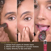 Burt's Bees All Aglow Lip And Cheek Stick, 8.5 g, Lilac Lagoon