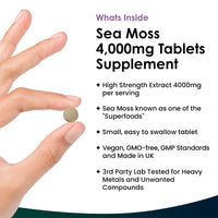 Sea Moss Tablets Extract High Strength 4000mg - Sea Moss Supplement 120 Tablets (not sea moss capsule) High Potency - UK Made - Vegan - Non GMO