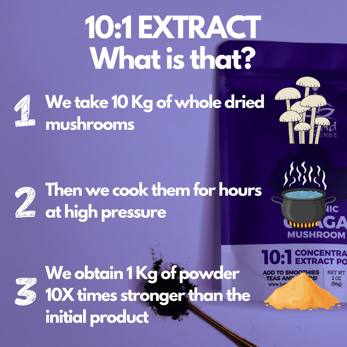 Hybrid Herbs HYBRID HERBS – Organic Wild Chaga Mushroom Powder 10X Strength - Supplement for Energy, Skin & Brain Support Rich in Antioxidants & Beta Glucans | HIGH Potency 10:1 Extract - 56 Serving (56g)