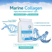 swiss bioenergetics Marine Collagen 600mg 60 Capsules - Highly Bioavailable Naticol® Type 1 Produced by enzymatic hydrolysis ensuring The Highest Levels of oligopeptides with Maximum Purity