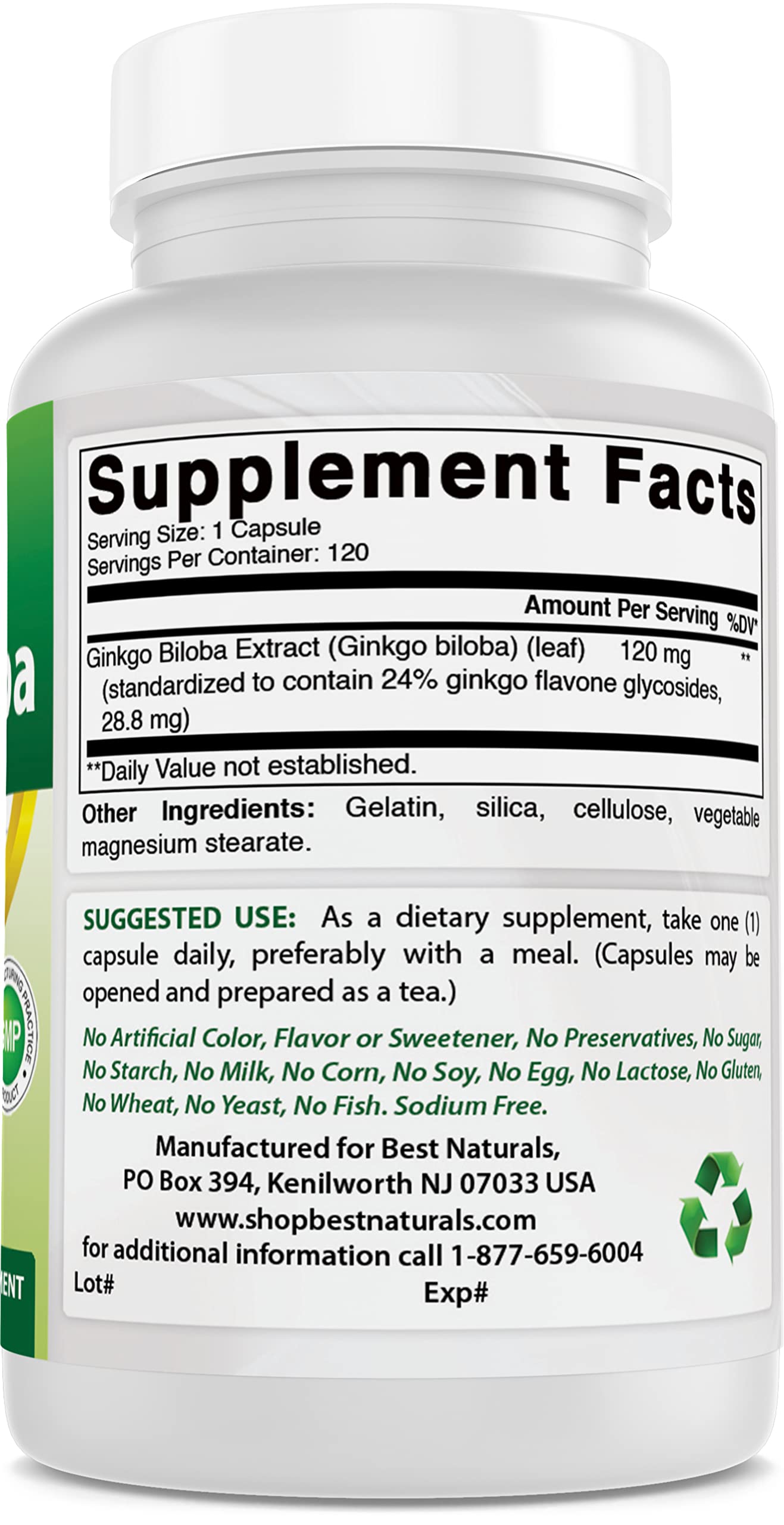 Best Naturals, Ginkgo Biloba Extract - Double Strength Ginkgo Biloba, 120mg, 120 Capsules (120 Count (Pack of 2))