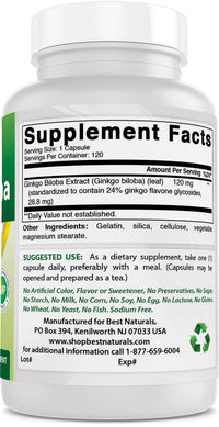 Best Naturals, Ginkgo Biloba Extract - Double Strength Ginkgo Biloba, 120mg, 120 Capsules (120 Count (Pack of 3))