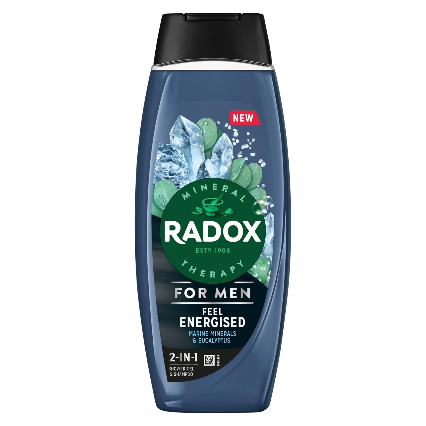 Radox Mineral Therapy Feel Energised 2-in-1 Shower Gel & Shampoo Men's Body Wash with marine minerals & eucalyptus for a cooling experience 450 ml