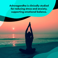 Ashwagandha High Strength Plus | 125 mg Root Extract with 10 mg Withanolides | 180 Vegan Tablets | 6-Month Supply | Supports Stress & Anxiety Relief, Better Sleep, and Energy Balance | by Nature Diet