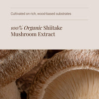 KIKI HEALTH KIKI Health - Organic Shiitake, Full-Spectrum Mushroom Extract - Standardised to 50% Polysaccharides - Made from 100% Fruiting Bodies - Natural Extract - 60 Veg Capsules