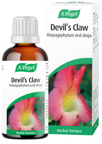 A.Vogel Devil's Claw Harpagophyum Drops (100ml)