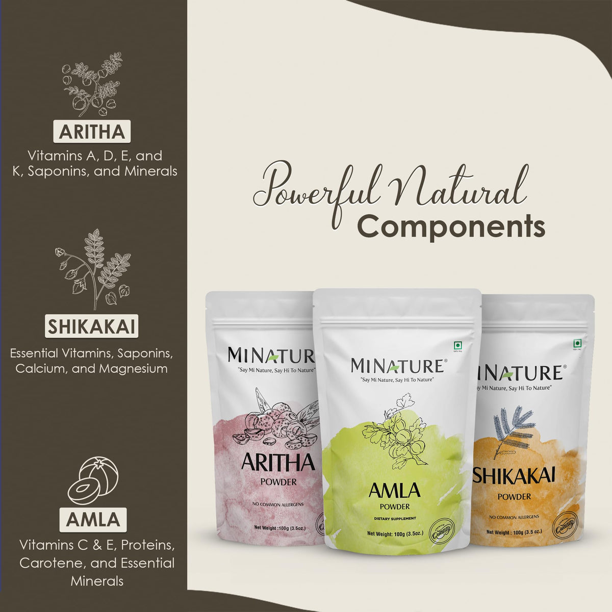 minature Combo Of Amla Powder Aritha & Shikakahi (Pack Of 3) | For Natural Beautiful Hair | Hair Pack for Hair, Conditioning, Smooth, and Shinny, and all types of Hair | 100 Each (100g*3)