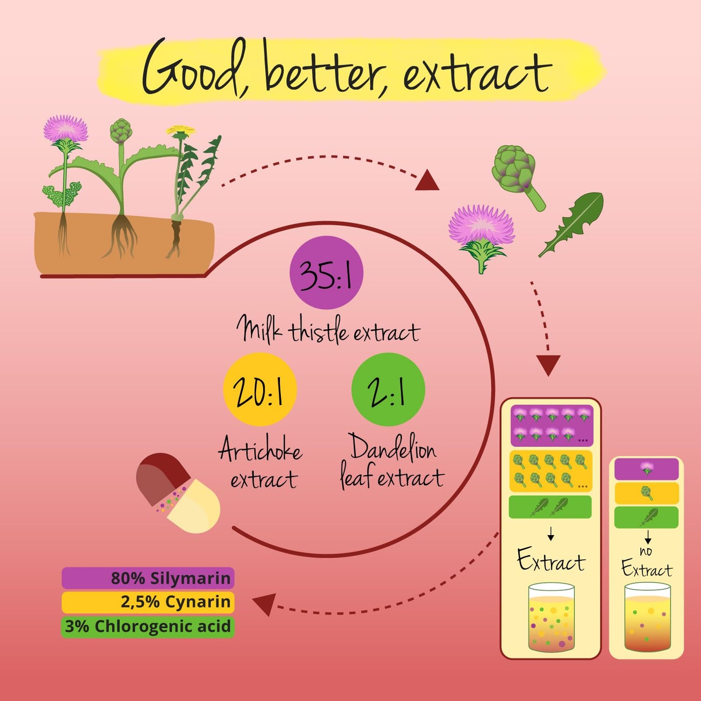 Vegavero Artichoke Leaf Extract Complex | 120 Capsules | HIGH DOSE 80% Silymarin | Liver Detox | NO Additives | Vegan
