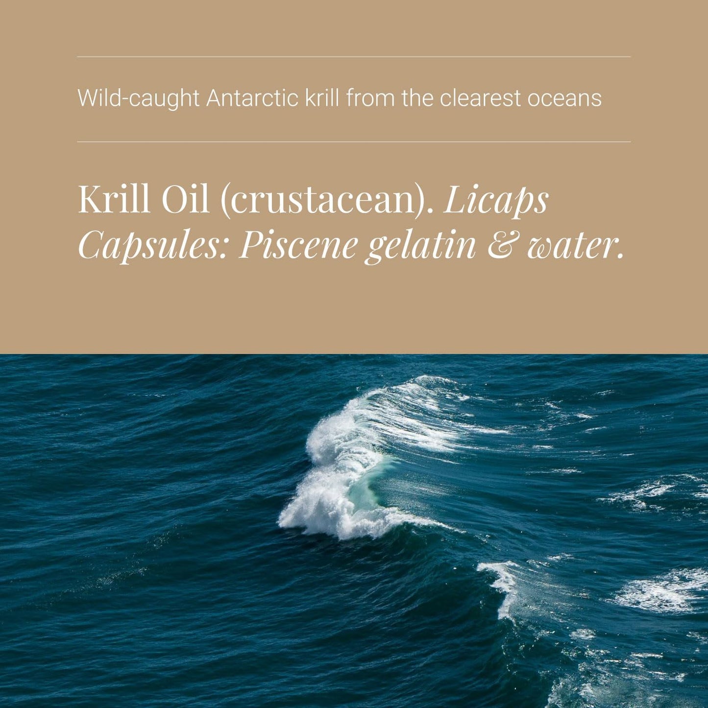KIKI HEALTH KIKI Health Krill Oil Capsules High Strength 590mg - Naturally Rich in Long-Chain Fatty Acids EPA & DHA, Support Heart, Brain, Liver, & Vision - Omega 3 Fish Oil Alternative, Gluten Free - 30 Capsules