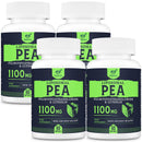 Liposomal Palmitoylethanolamide (Pea) 1100mg with Luteolin, Micronized Pea - High Purity, Super Absorption and Optimal Effectiveness, 60 Softgels (Pack of 4)