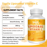 Liposomal Vitamin C Capsules 2000mg(3 Pack), Maximum Absorption, High dose VIT C, Ascorbic Acid, Antioxidant Supplement, Soy-Free, Non-GMO
