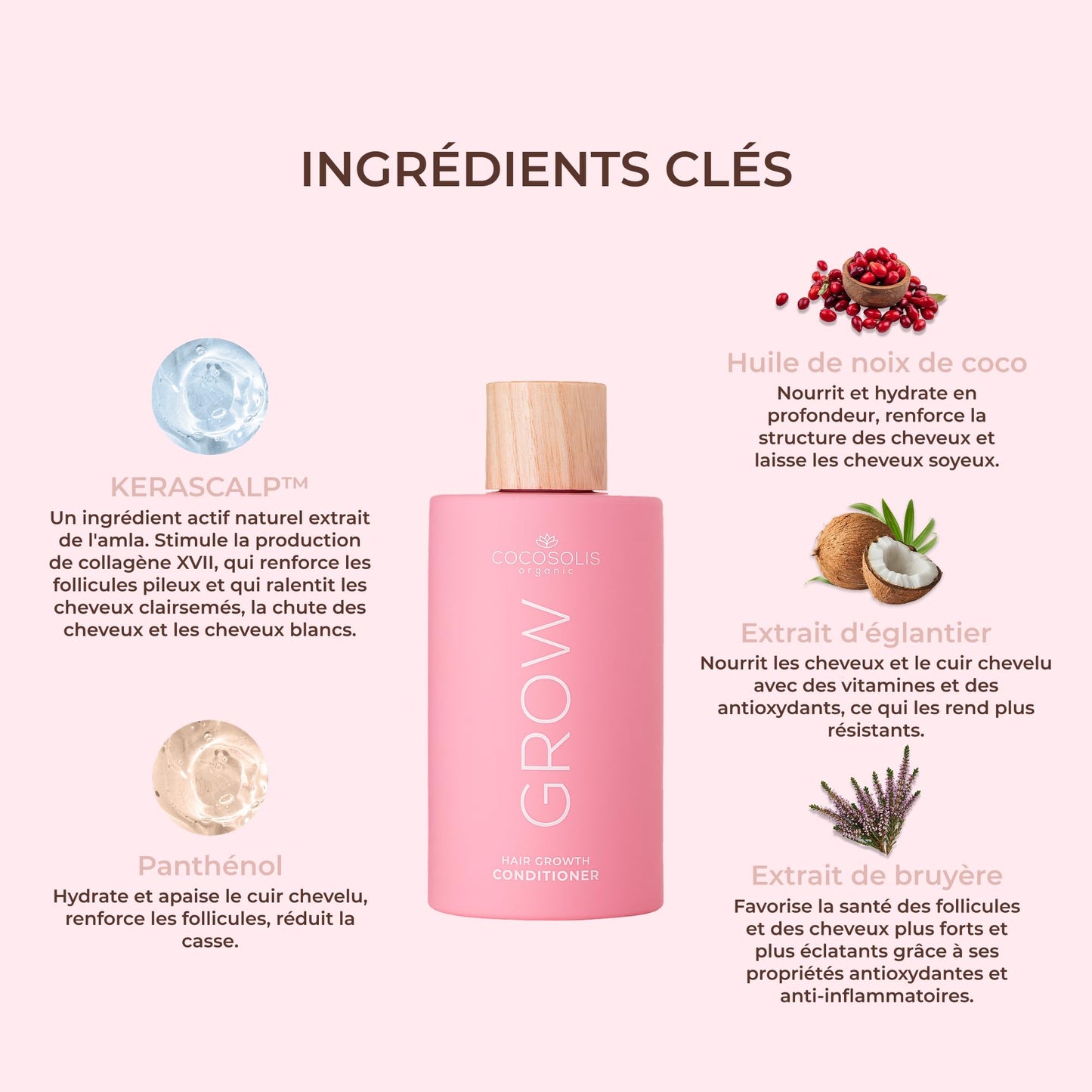 COCOSOLIS GROW Growth & Anti-Aging Hair Conditioner, Fast Growth, Vegan Care & Hydration for Curls & Dry Hair, with Vitamin E and Active Kerascalp
