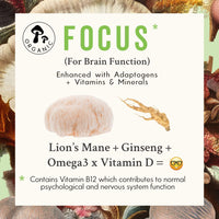Grass & Co | FOCUS Lion's Mane Mushroom Capsules | Supports Cognitive Health | 60 Capsules | 30 Servings | Lion's Mane Extract, Ginseng, Omega-3, Vitamins B12 & D