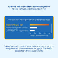 Spatone Natural Iron Supplement + Vitamin C (14 Sachets), Daily Convenient Liquid Iron Sachets, Nothing Artificial, Better Absorption than Tablets, Less Side Effects, Apple Flavour