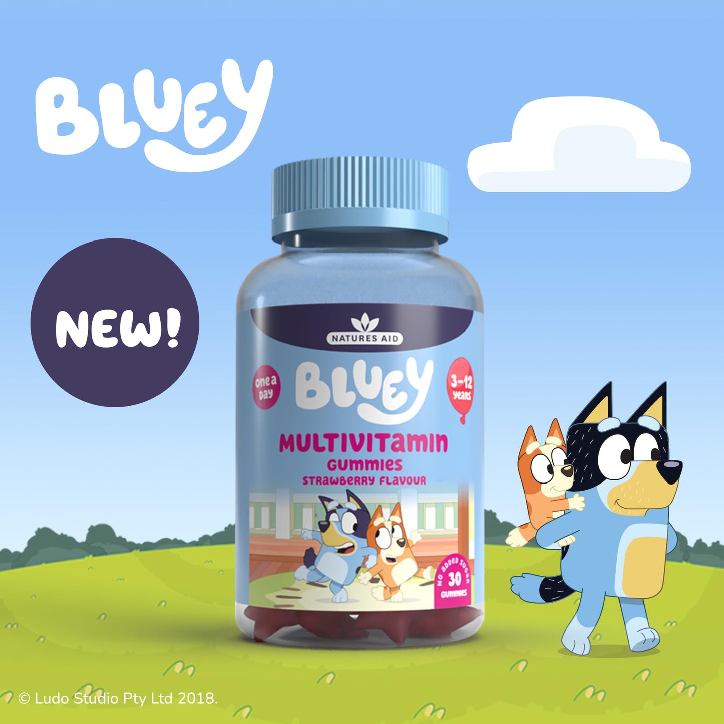 Bluey Kids Multivitamin Gummies - 14 Essential Vitamins & Minerals to Support Growing Bodies, Immunity & Tiredness - Strawberry, No Added Sugar, Vegan, Gluten Free - 30 Gummys for Children Ages 3-12