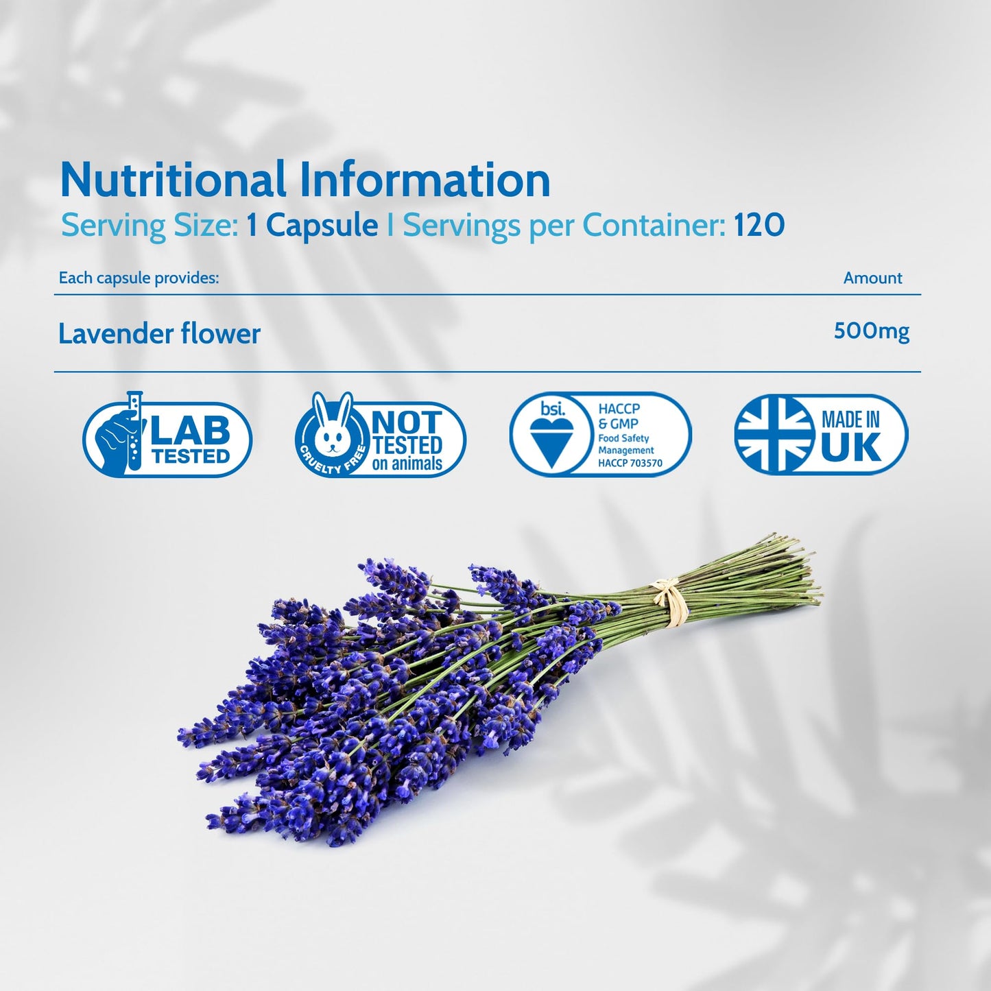 Health4All Lavender 500mg 120 Capsules 4 Month Supply, Purest - no additives. Vegan Lavandula Flower Capsules (not Tablets or Oil) Supplement for Anxiety, Relaxation and Sleep Support | Made in UK