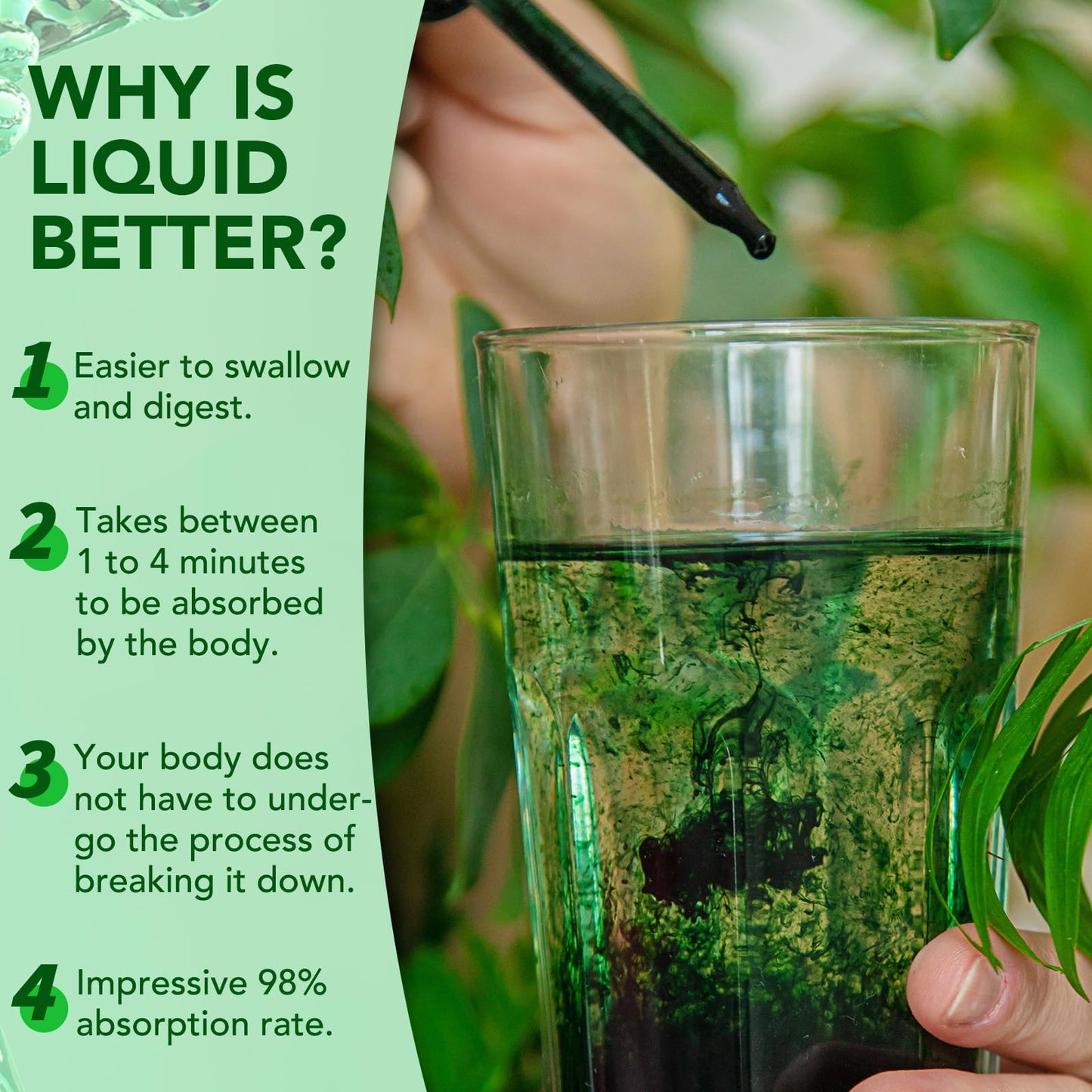 Liquid Chlorophyll Drops, 60ML Natural Chlorophyll for Internal Detox & Cleanes, Energy Booster, Digestion Supports Mint Flavour